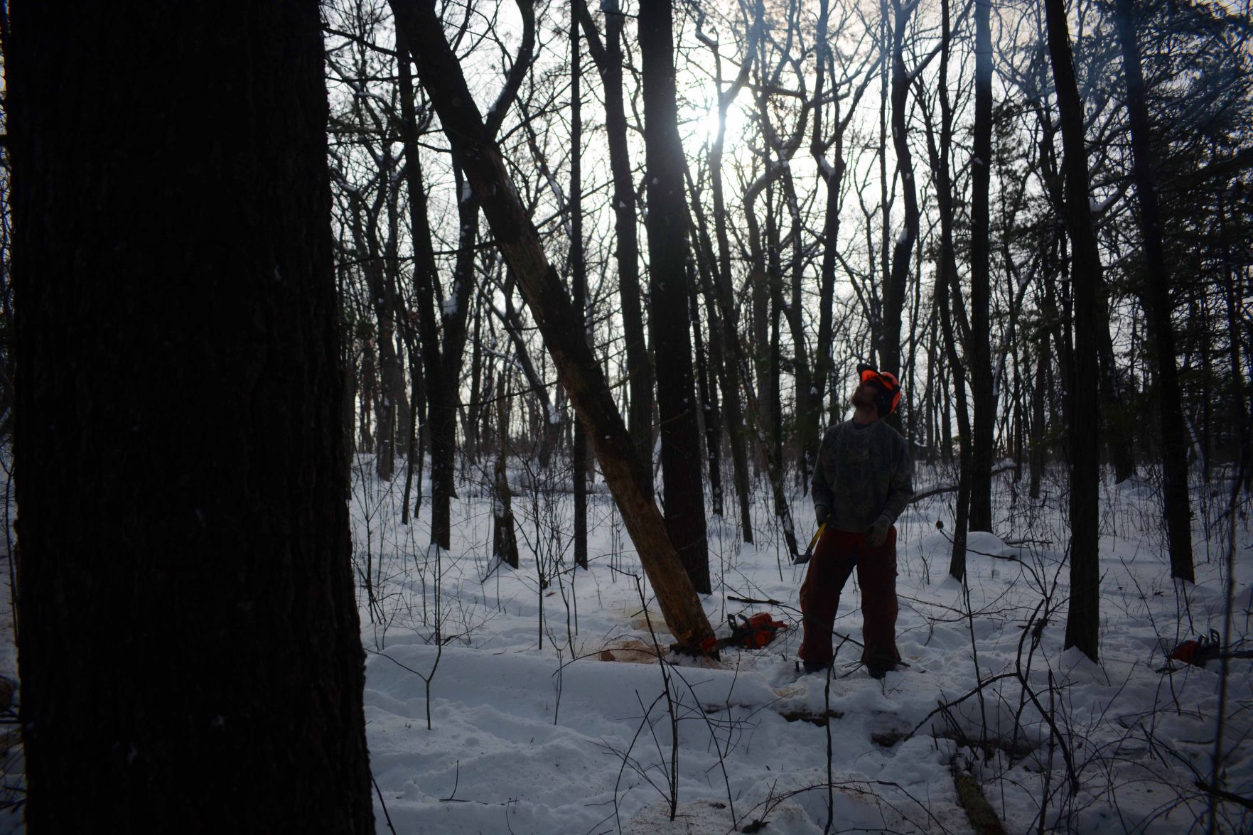 Devil's Lake east bluff stewardship work